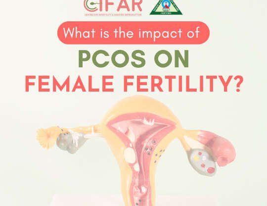 What is the impact of polycystic ovary syndrome on female fertility?