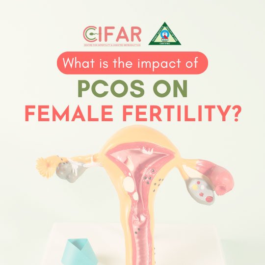 What is the impact of polycystic ovary syndrome on female fertility?