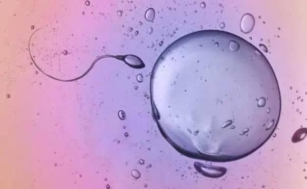 Realistic IVF Treatment in India