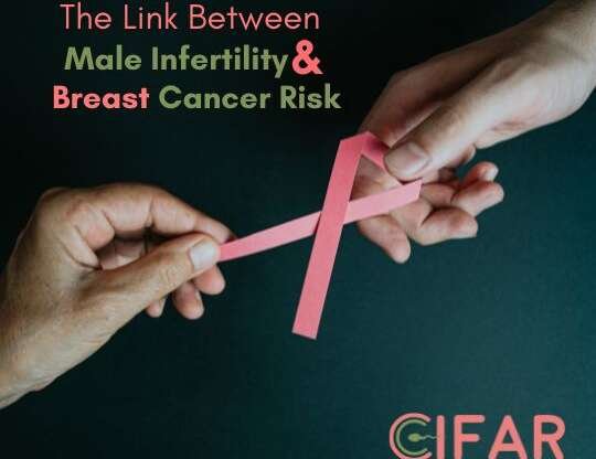 Unveiling the Unexpected: The Link Between Male Infertility and Increased Breast Cancer Risk