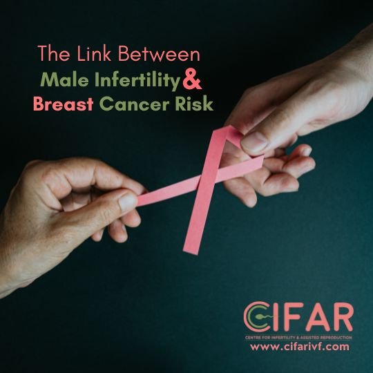 Unveiling the Unexpected: The Link Between Male Infertility and Increased Breast Cancer Risk