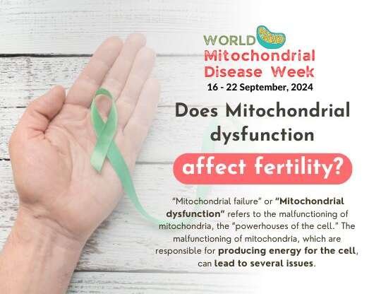 Does Mitochondrial dysfunction affect fertility?