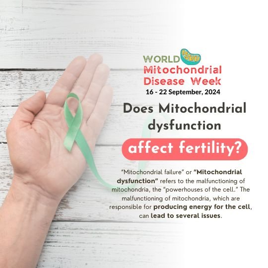 Does Mitochondrial dysfunction affect fertility?